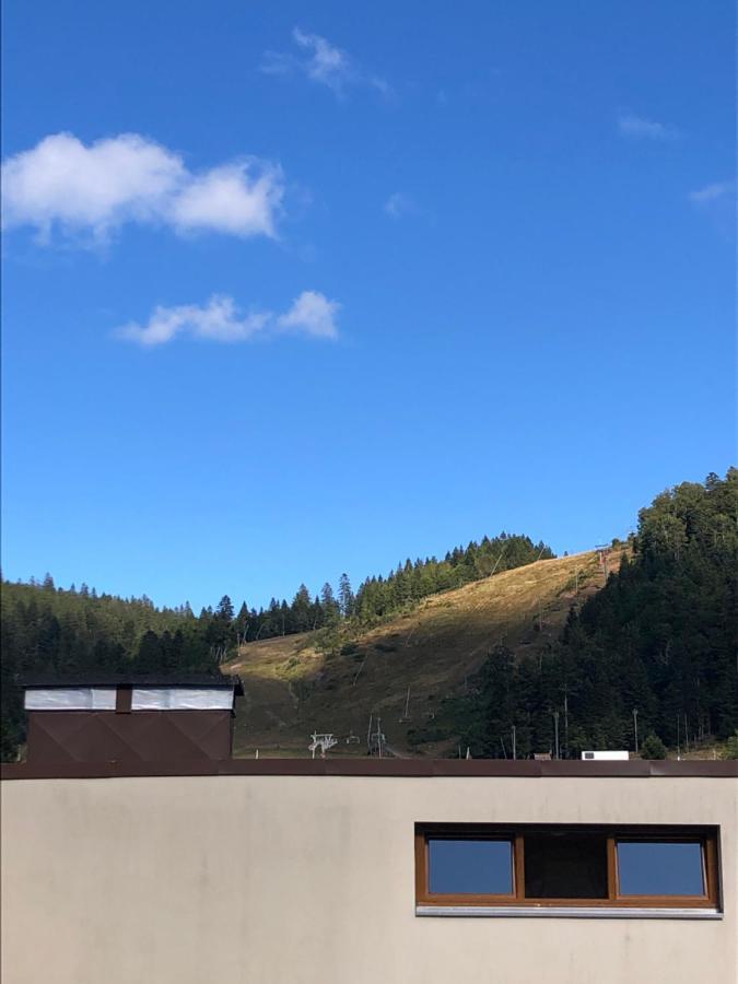 Studio La Bresse Chez Sandra Εξωτερικό φωτογραφία